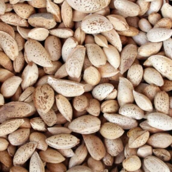KASHMIRI ALMOND - 10KG