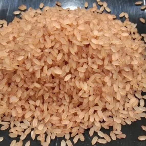 MATTA RICE - 50KG
